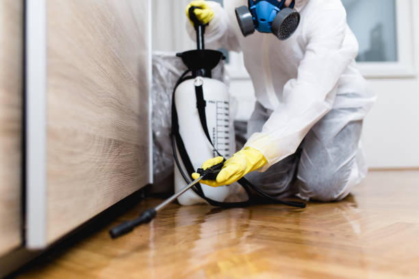 Best Termite Control Services  in Highland Beach, FL