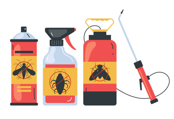 Trusted Highland Beach, FL Pest Control Experts