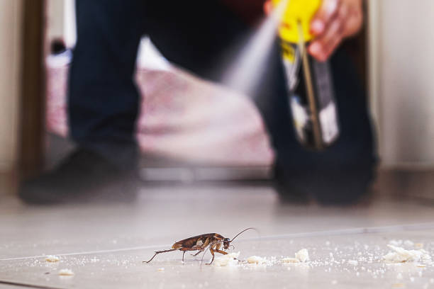 Best Pest Control for Businesses  in Highland Beach, FL