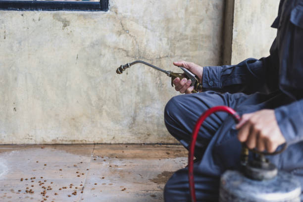 Best Pest Control Cost  in Highland Beach, FL